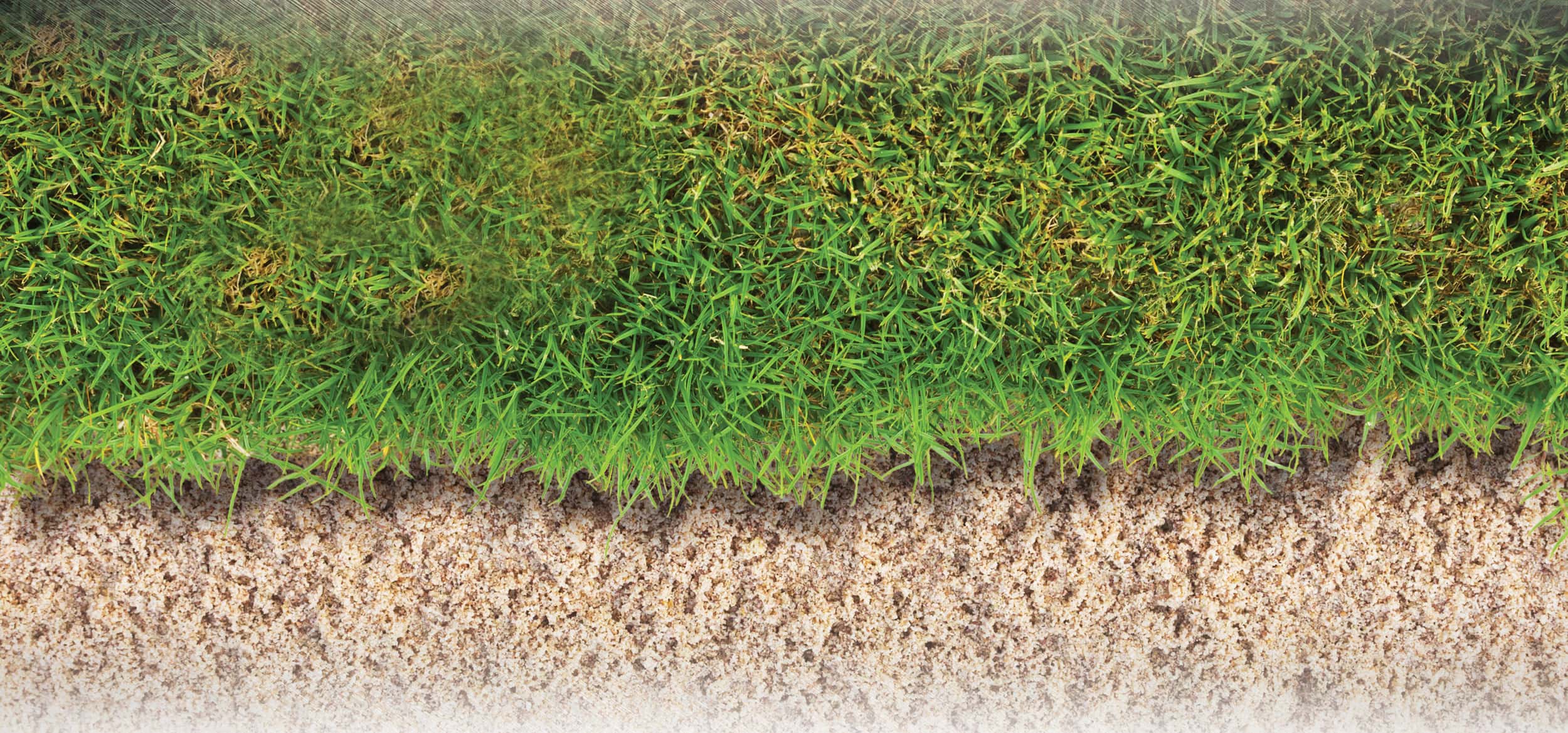 Infill sand Infill sand